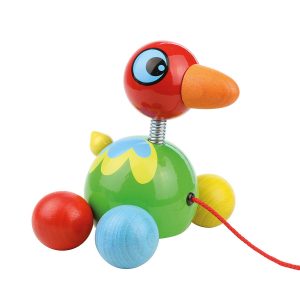 baby oiseau des îlesA